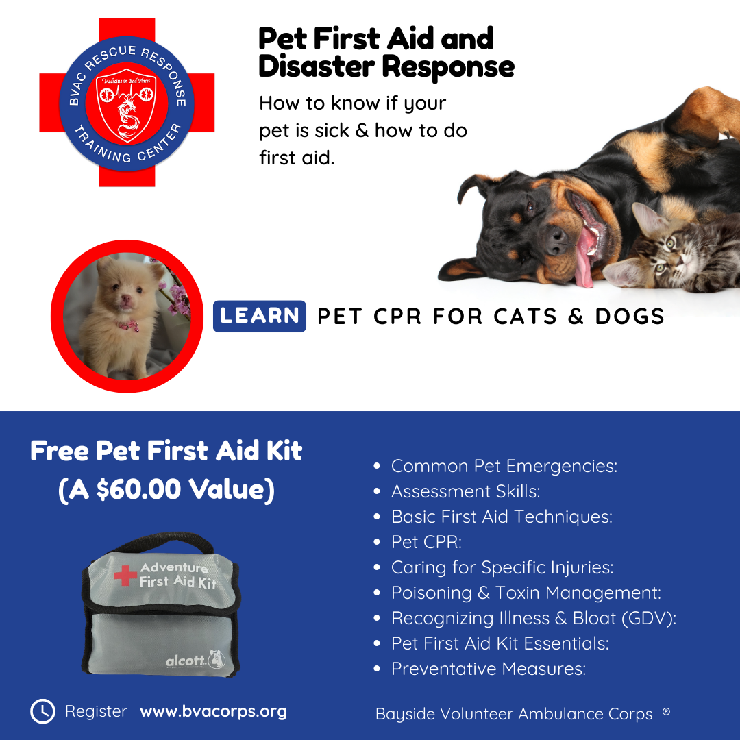 Pet First Aid and Disaster Response